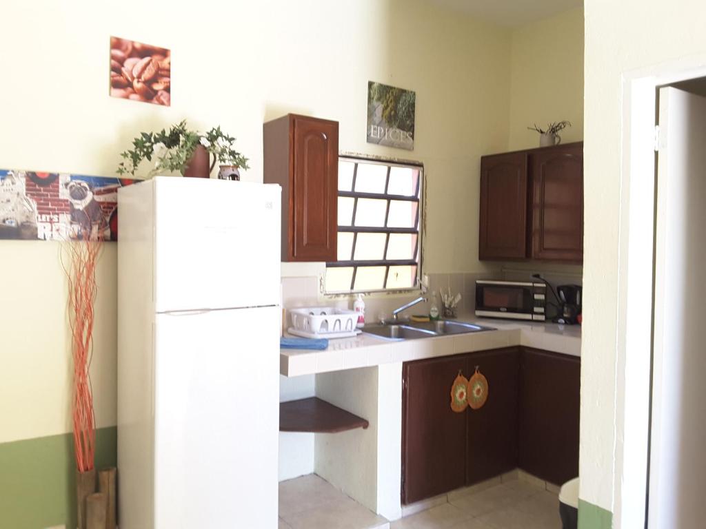 a kitchen with a white refrigerator and brown cabinets at SXM Spotters Paradise in Lowlands