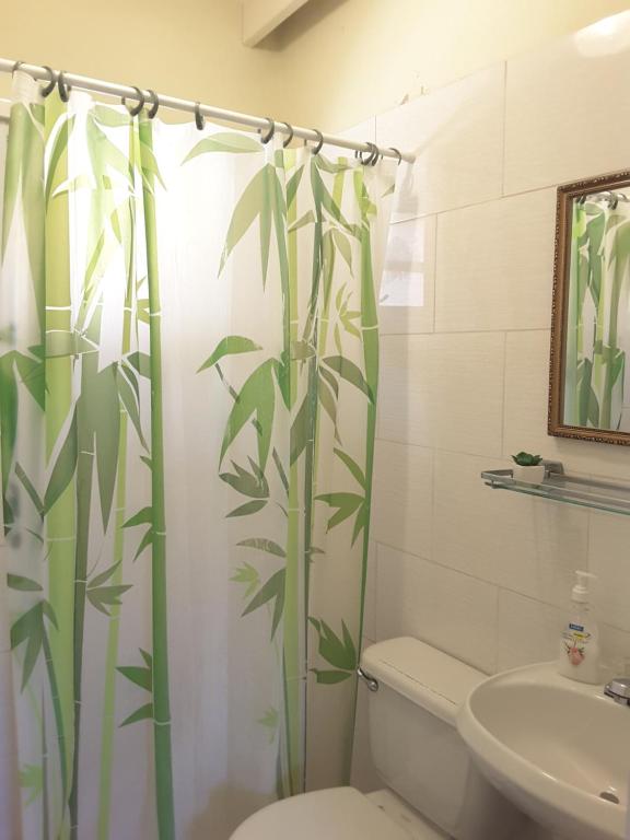 a bathroom with a shower curtain with a toilet and a sink at SXM Spotters Paradise in Lowlands
