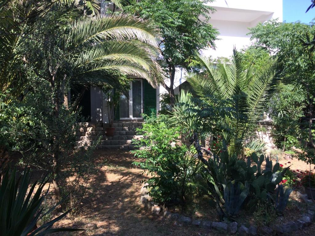 a house with palm trees in front of a yard at Apartments MiaMaja in Novalja