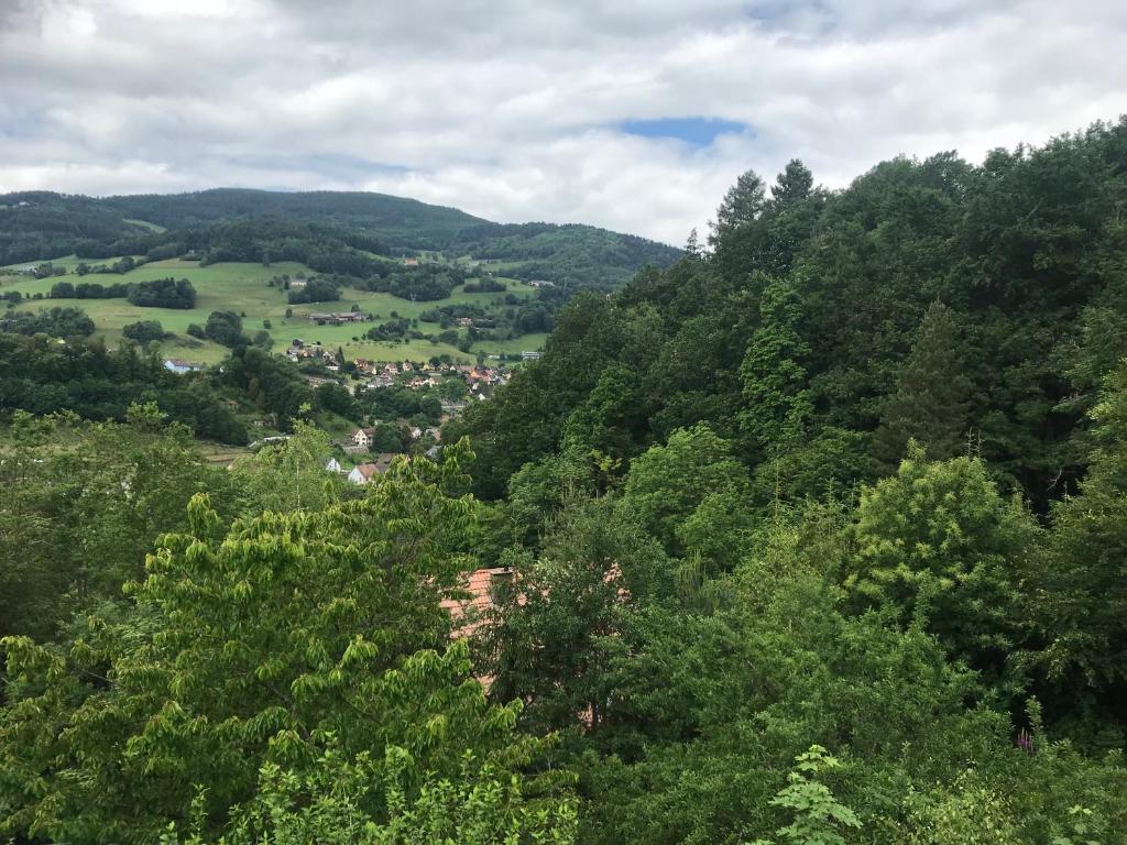 a view of a valley with trees and a town at Gîte du ROCHER in Lapoutroie