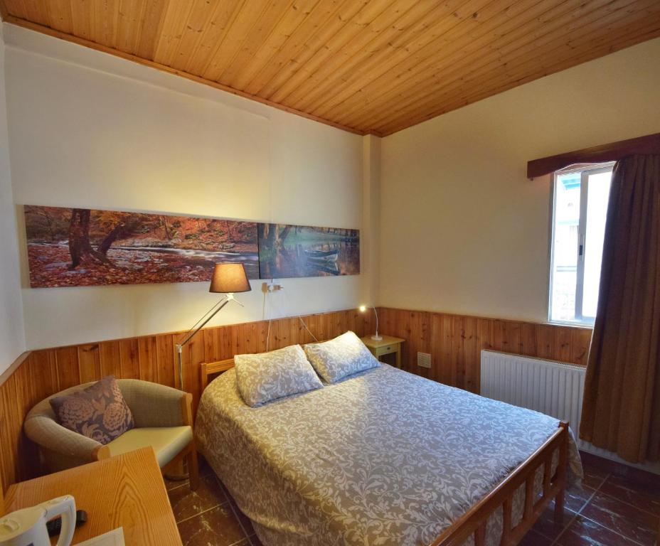 a bedroom with a bed and a chair at Christys Palace Hotel in Pedoulas