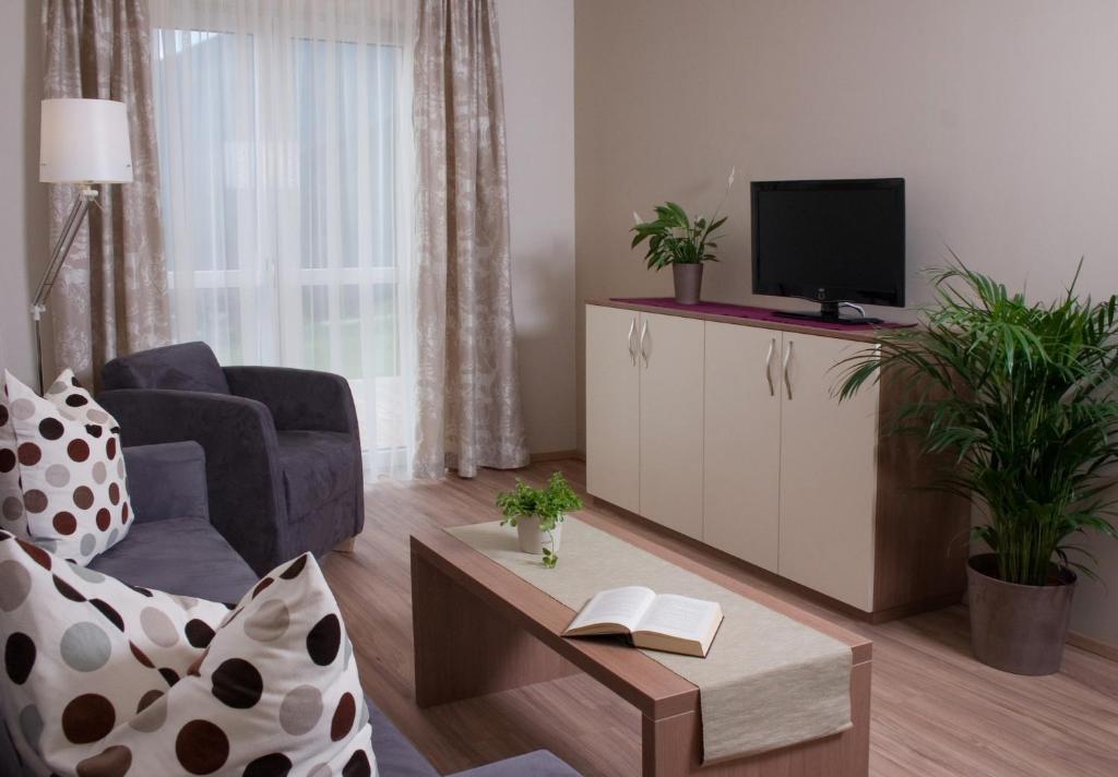 TV a/nebo společenská místnost v ubytování Hölbinger Alm - Apartments