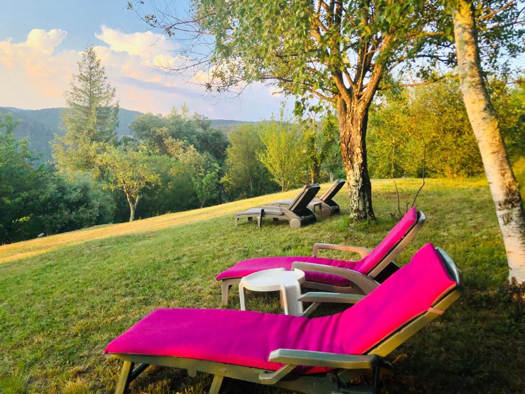 une rangée de chaises roses assises dans un champ dans l'établissement Gite de La Jasse, à Chamborigaud