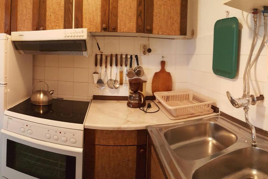 Dapur atau dapur kecil di Rodic Apartman stan Ohrid