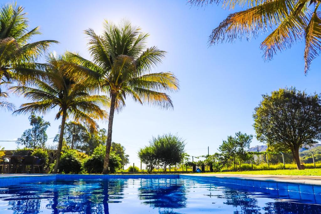 a swimming pool with palm trees in the background at Pousada Cateto - Zona Rural in Capitólio