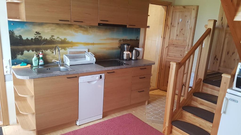 Kuchyň nebo kuchyňský kout v ubytování Peipsi Lake House