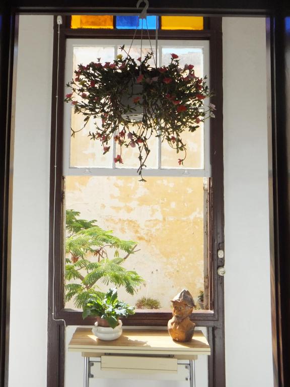 Fotografie z fotogalerie ubytování Casa Colonial Cejas v destinaci Santa Cruz de Tenerife