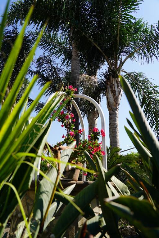 een bos bloemen hangend aan een palmboom bij B&B Ciro in Pompei