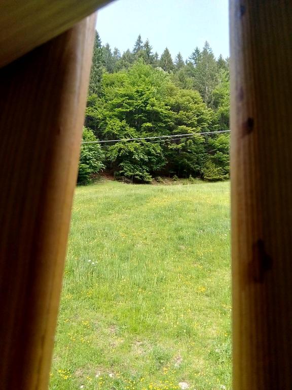 Zahrada ubytování B&B PRA' DEI CERVI