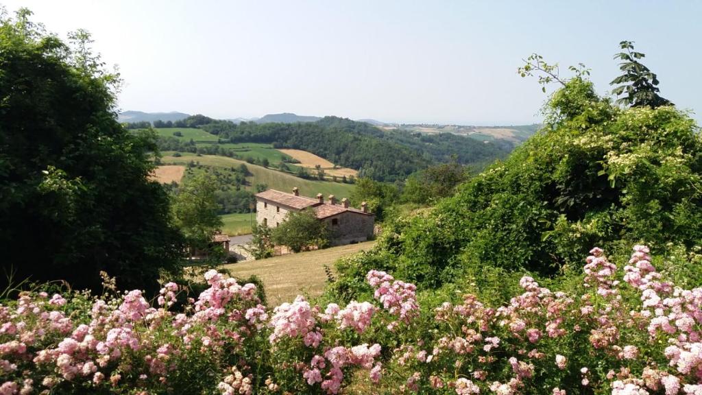 Příroda nedaleko bed and breakfast