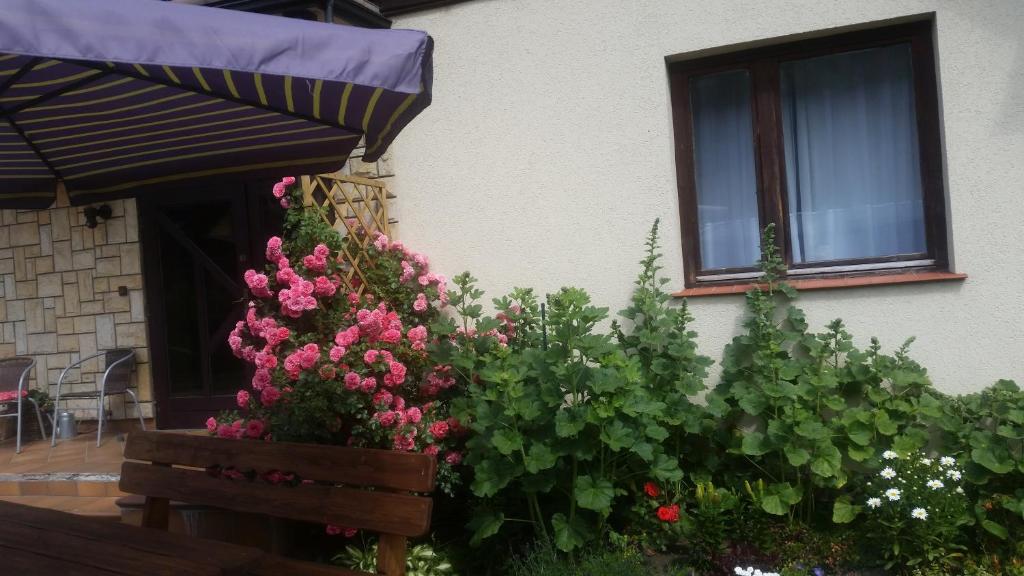Vonkajšia záhrada v ubytovaní Apartament Jodłowy