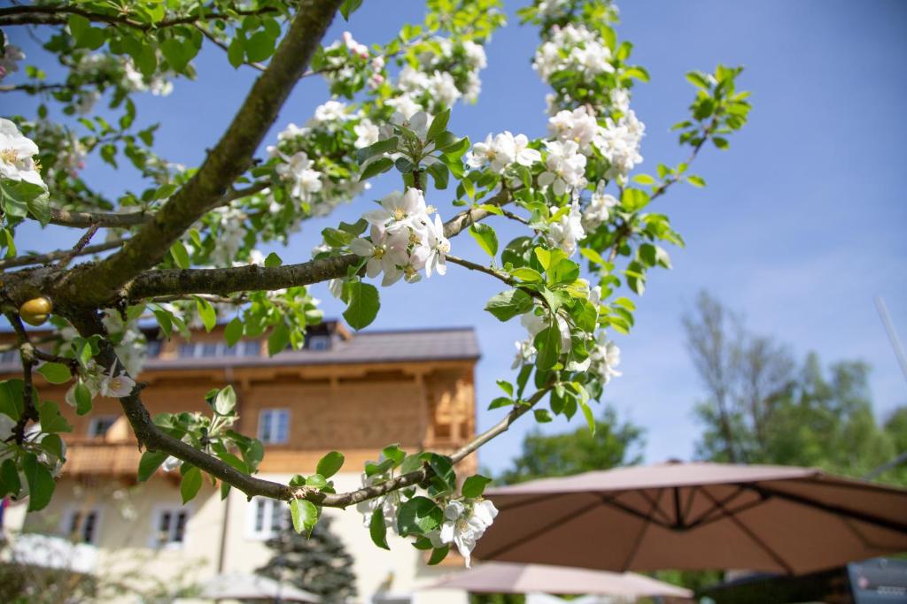Zahrada ubytování Hotel Försterhof lebe pur, genieße den Tag