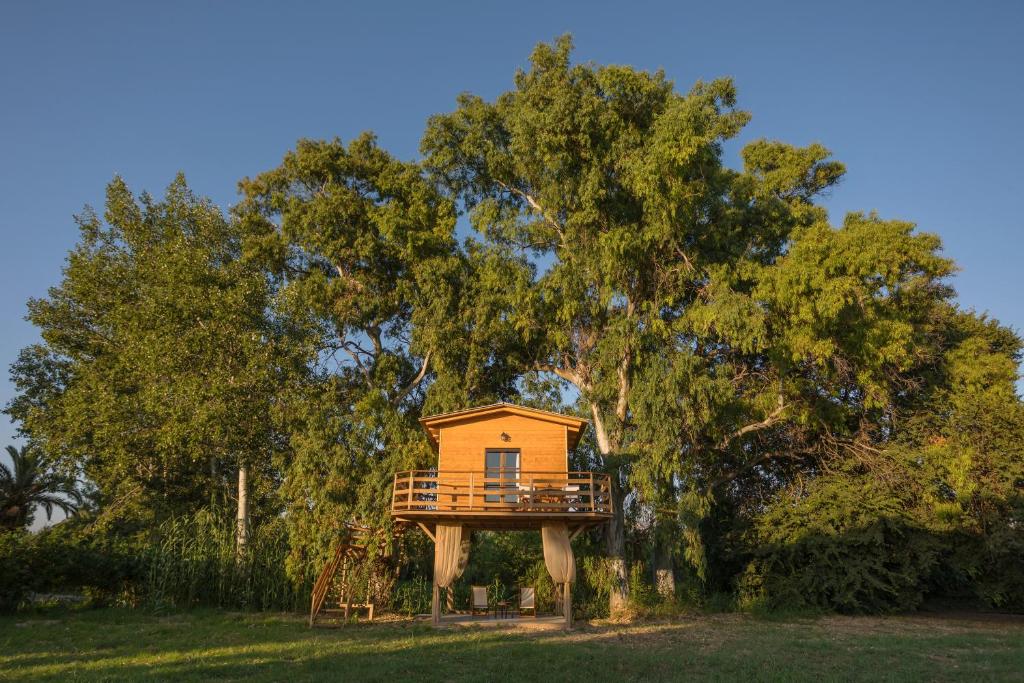 uma casa na árvore no meio de um campo em River TreeHouse em Laganas