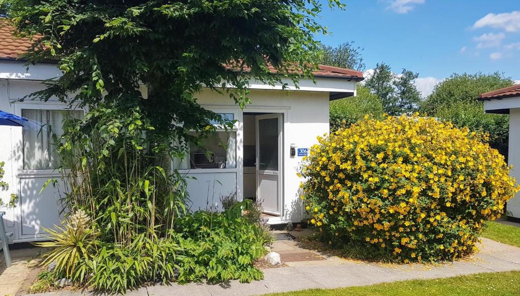a white house with yellow flowers in front of it at Dawlish Warren Holidays in Dawlish