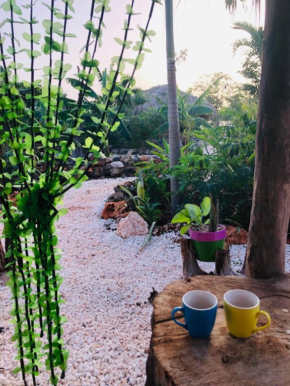 Ein Garten an der Unterkunft GuaiGüí Bayahibe
