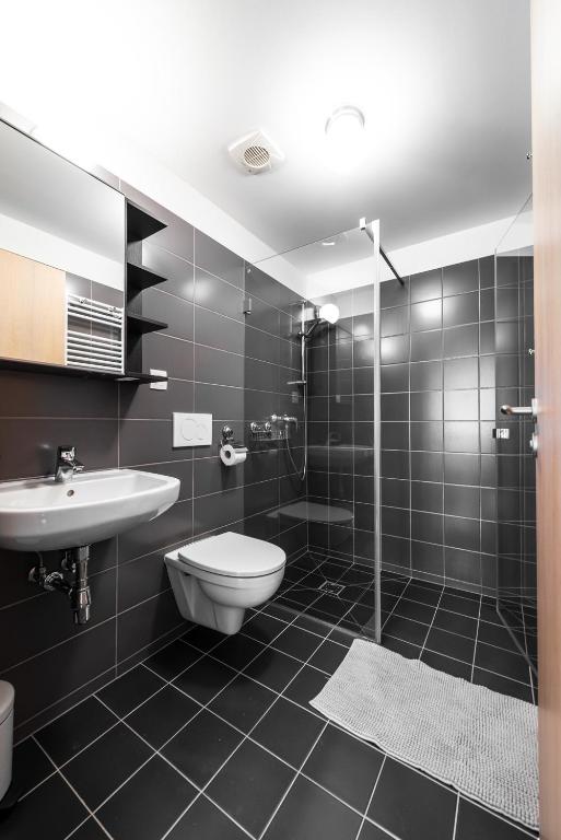 Koupelna v ubytování Apartmán se sklípkem