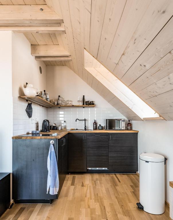 Kuchyň nebo kuchyňský kout v ubytování Apartmán se sklípkem