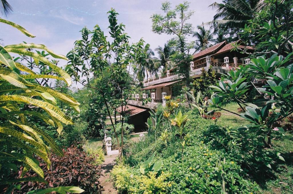 Gaia-Oasis Mountain Abasan - Standard Single Room