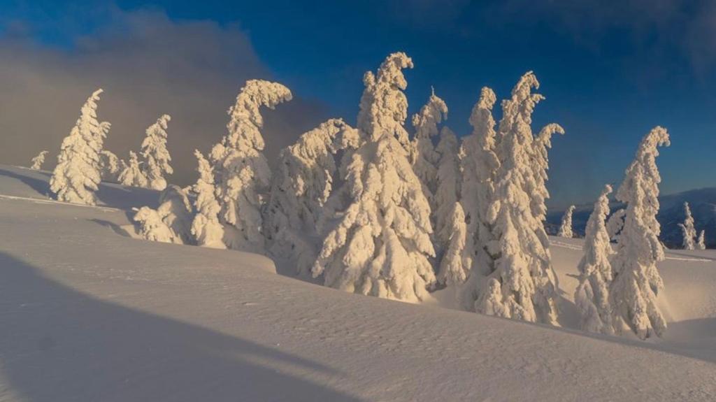 Alpengasthof Grobbauer v zimě