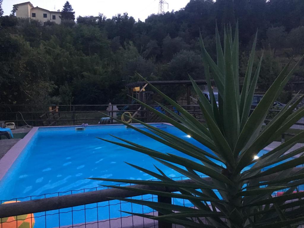 Basen w obiekcie B&b Il Rustico lub w pobliżu