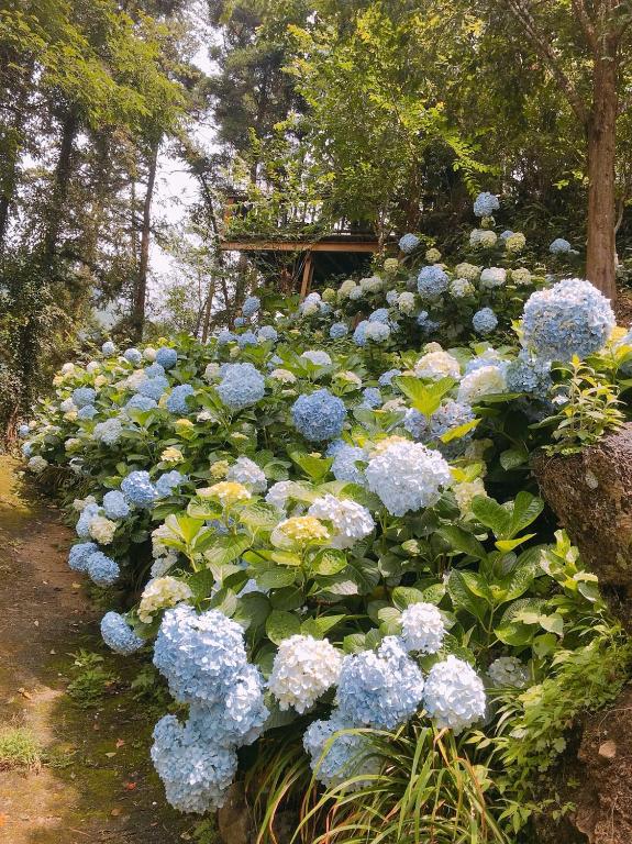 Zahrada ubytování 杉林松境休閒農場