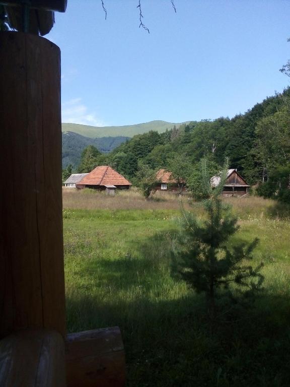 Příroda nedaleko motelu