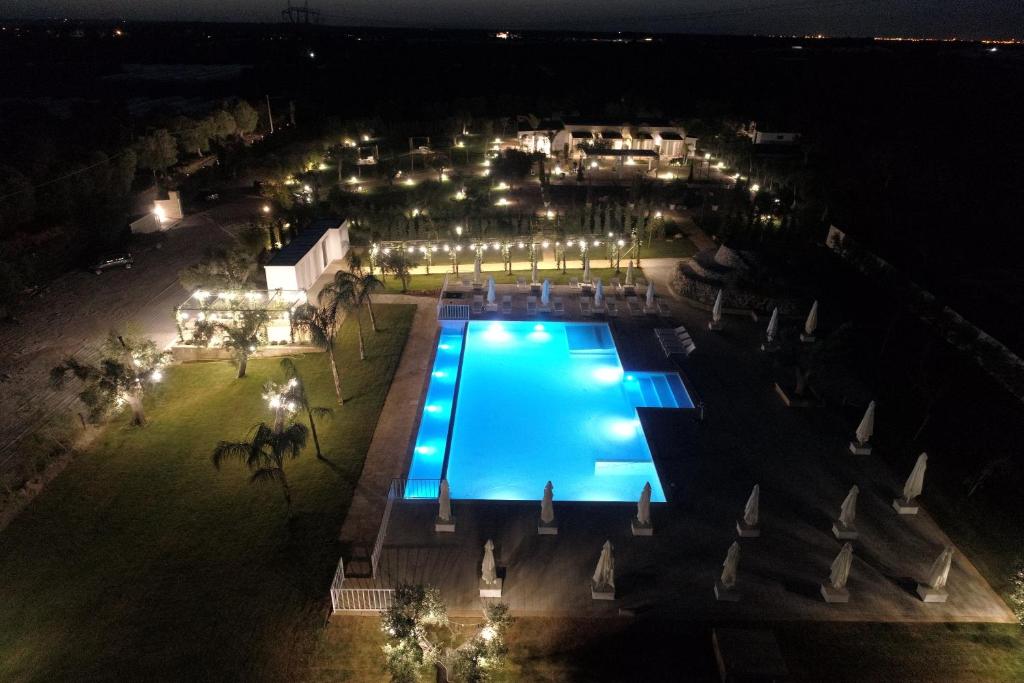 L'Ulivo e la Stella - foto 12