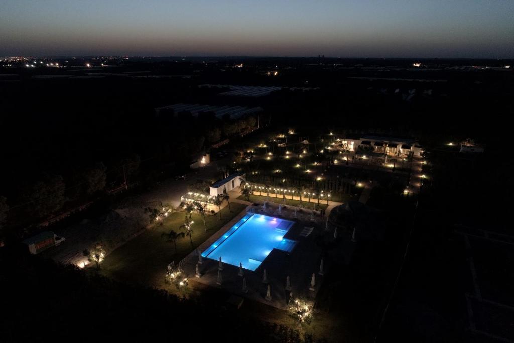 L'Ulivo e la Stella - foto 17