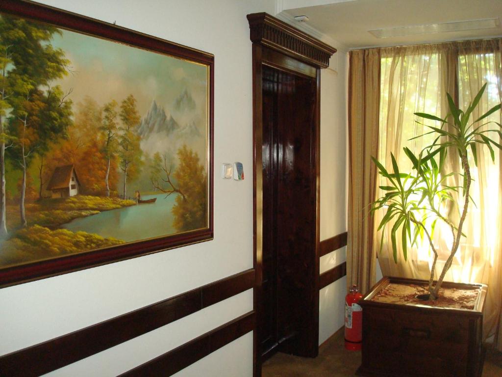 Fotografie z fotogalerie ubytování Hotel Ami v destinaci Băile Felix