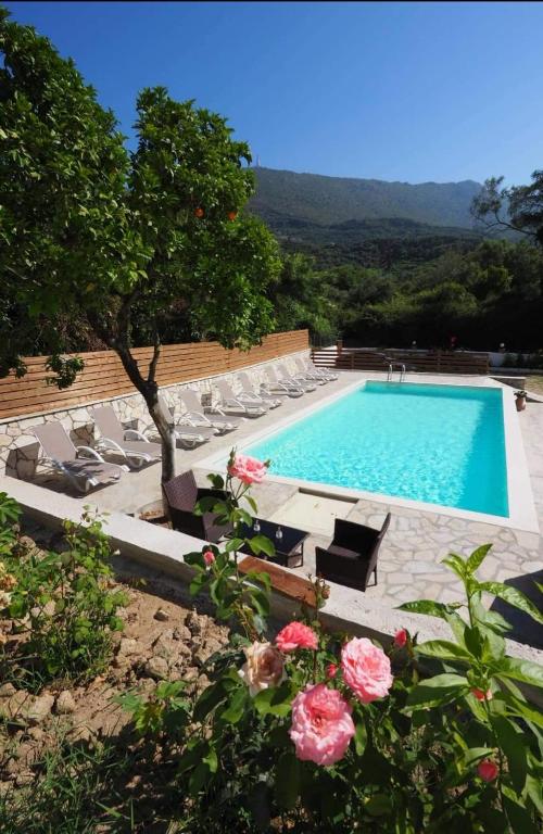 The swimming pool at or close to Dallas Valtos Studios