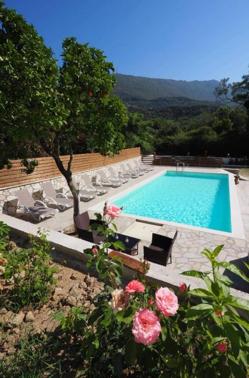 The swimming pool at or close to Dallas Valtos Studios