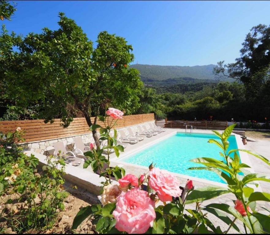 The swimming pool at or close to Dallas Valtos Studios