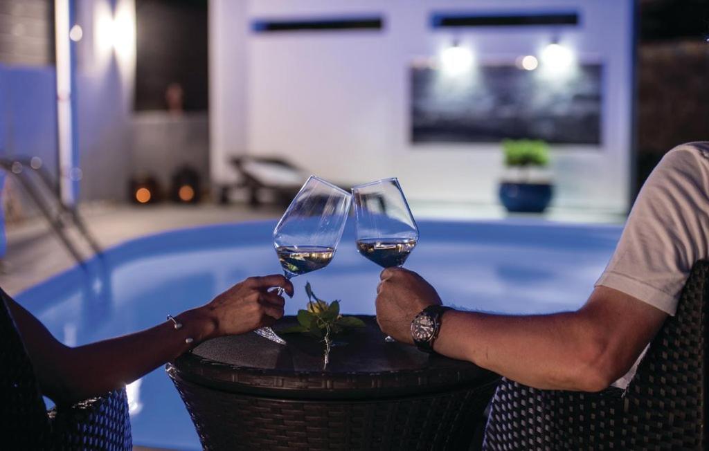Due persone che portano bicchieri di vino di fronte a una piscina di Molnar Resort Apartment Sergej a Brzac