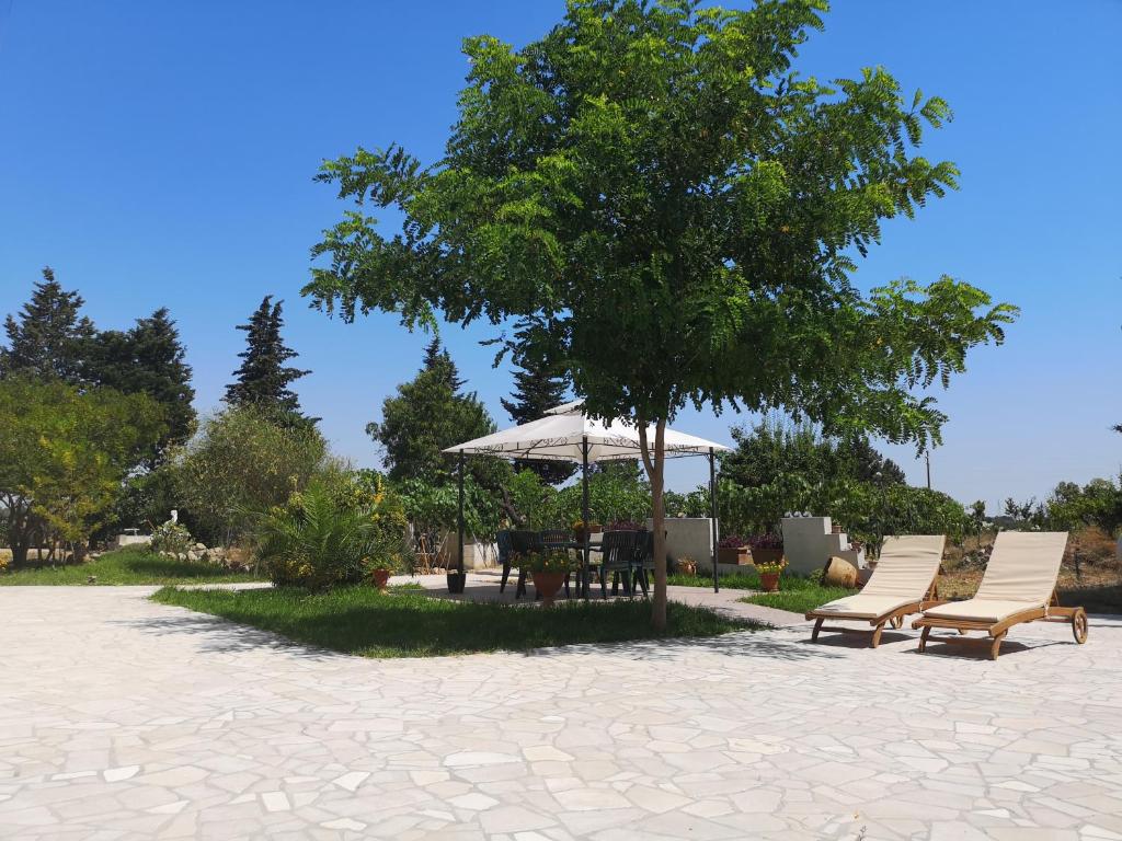 Φωτογραφία από το άλμπουμ του Villa Tersa σε Porto Cesareo