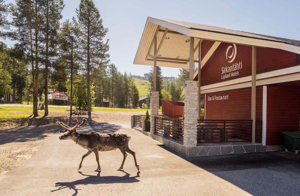 a deer walking in front of a building at Lapland Hotels Sirkantähti in Levi