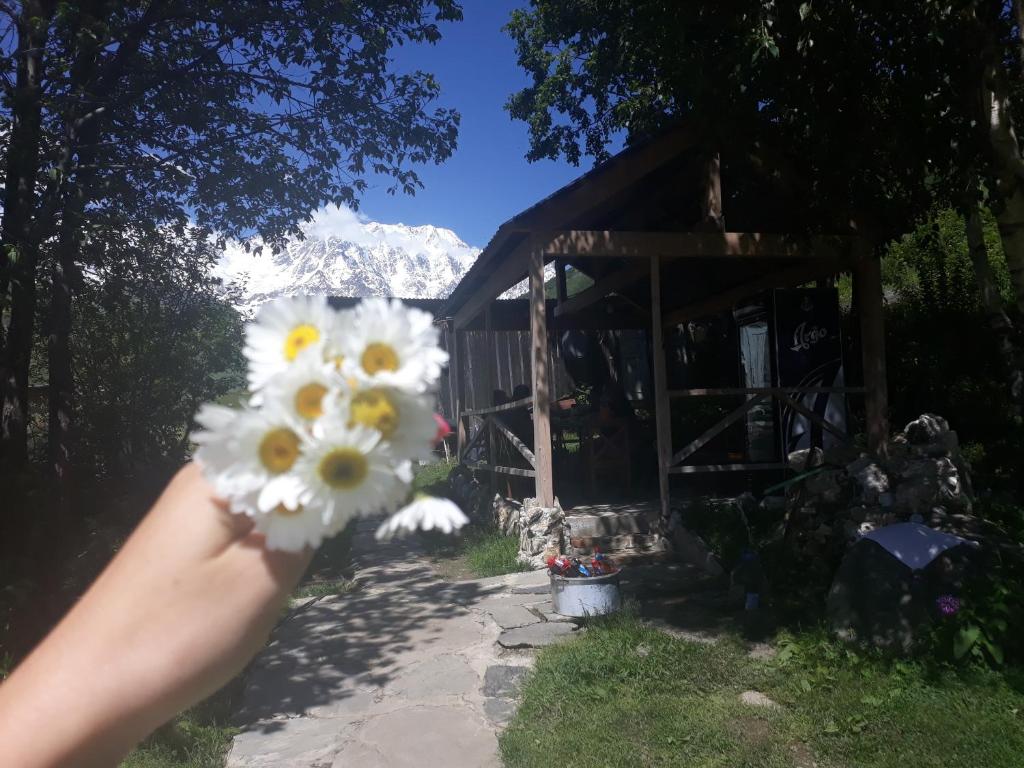 Zahrada ubytování Maxvshi