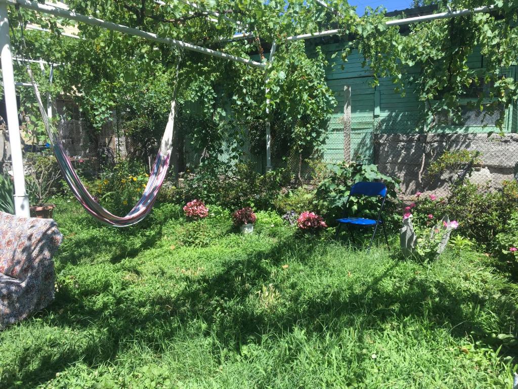 Zahrada ubytování Guesthouse AISI in Lagodekhi