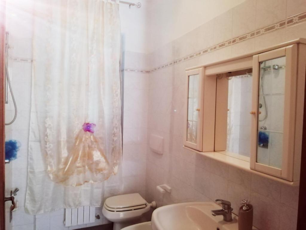 łazienka z toaletą, umywalką i zasłoną prysznicową w obiekcie B&B SAN FRANCESCO w mieście Bagnoregio