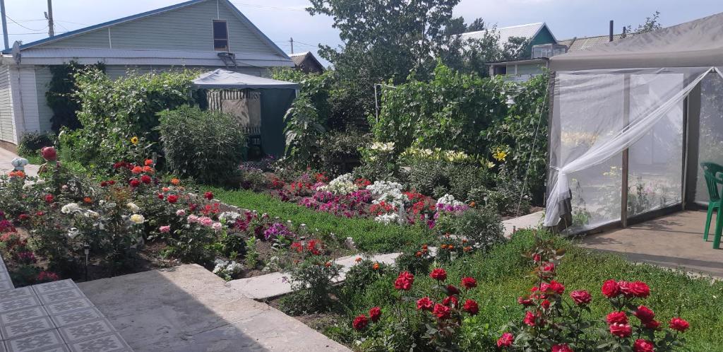 ソリ・イレツクにあるGuest House Irinaの花の咲く庭園