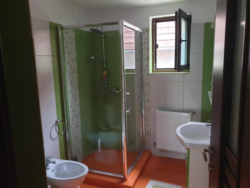 a bathroom with a shower and a toilet and a sink at Vila Andrei in Zărneşti