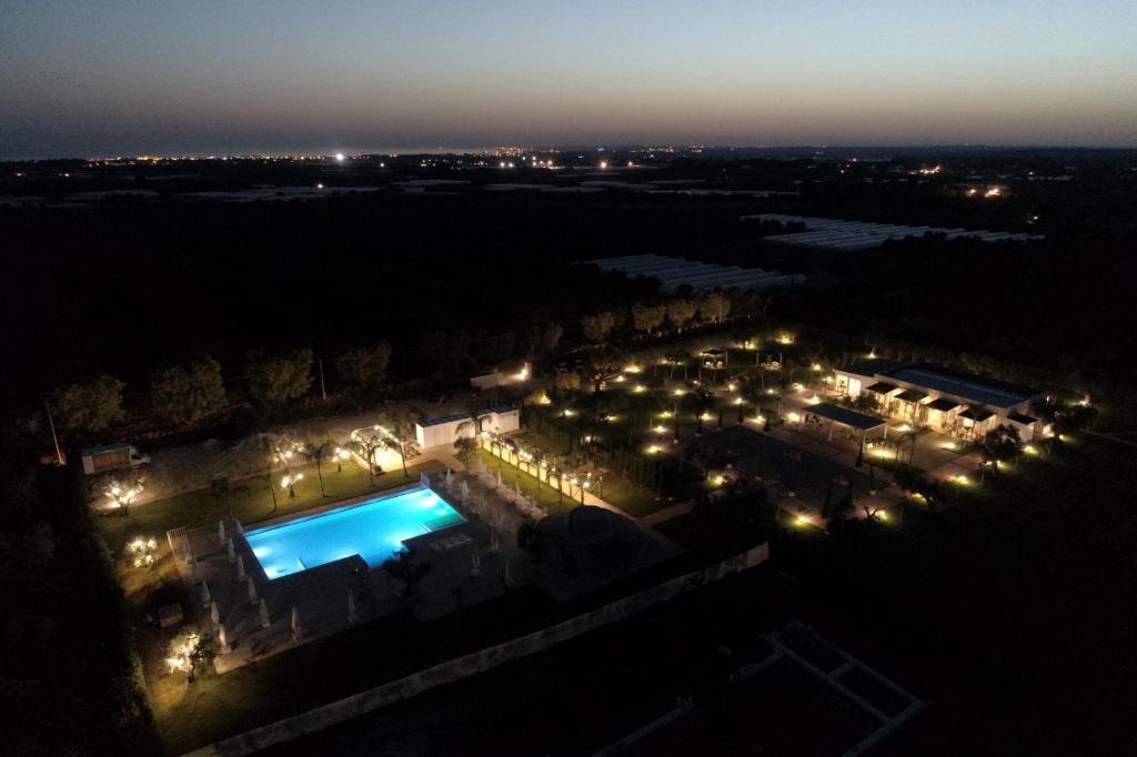 L'Ulivo e la Stella - foto 7