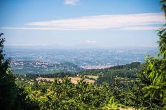 CASA CECCONI (ON THE HILLS OF FLORENCE)