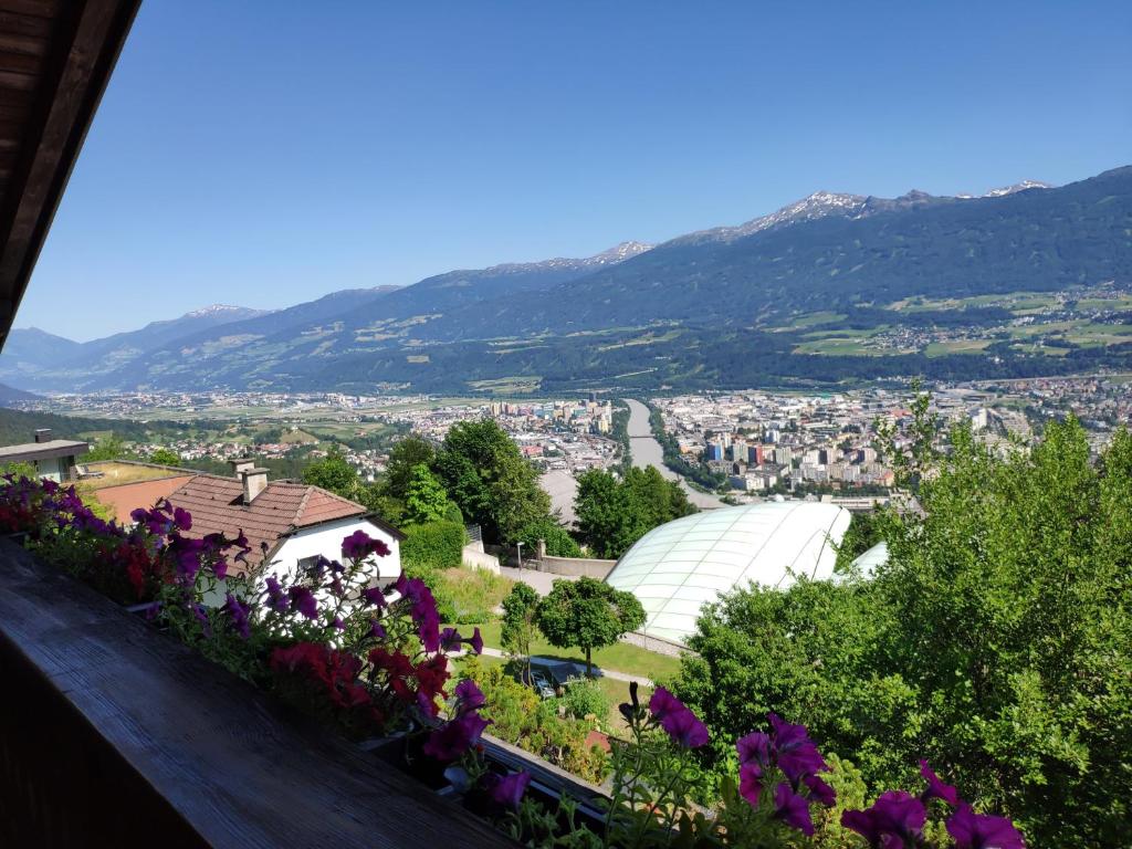 a view of a city from a garden with flowers at Alpendohle Apartments Innsbruck in Innsbruck