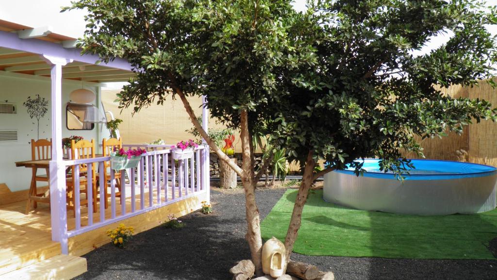 un patio trasero con bañera de hidromasaje y un árbol en Chalet en oasis privado, en La Vegueta