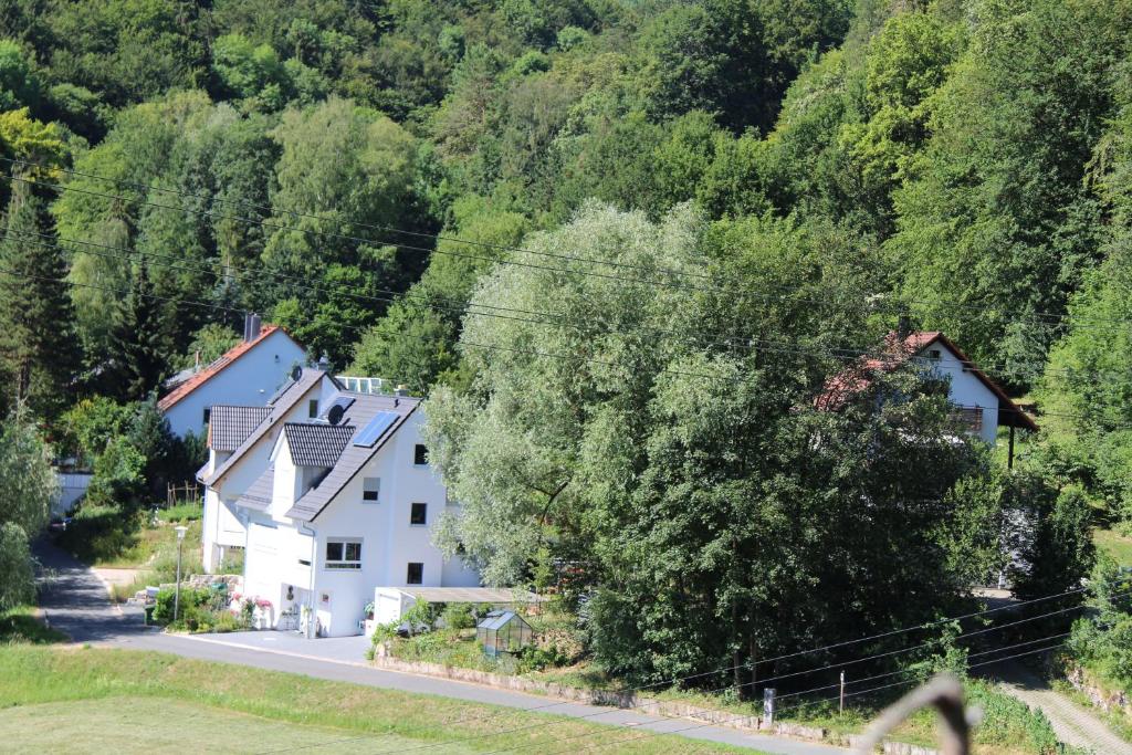 Příroda nedaleko bed and breakfast