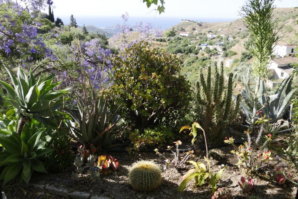 Een tuin van Cortijo el Abejaruco