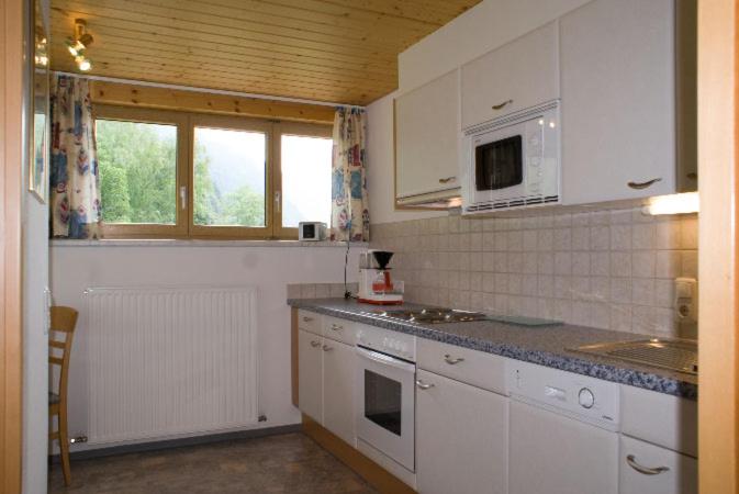 Kuchyň nebo kuchyňský kout v ubytování Haus Bials