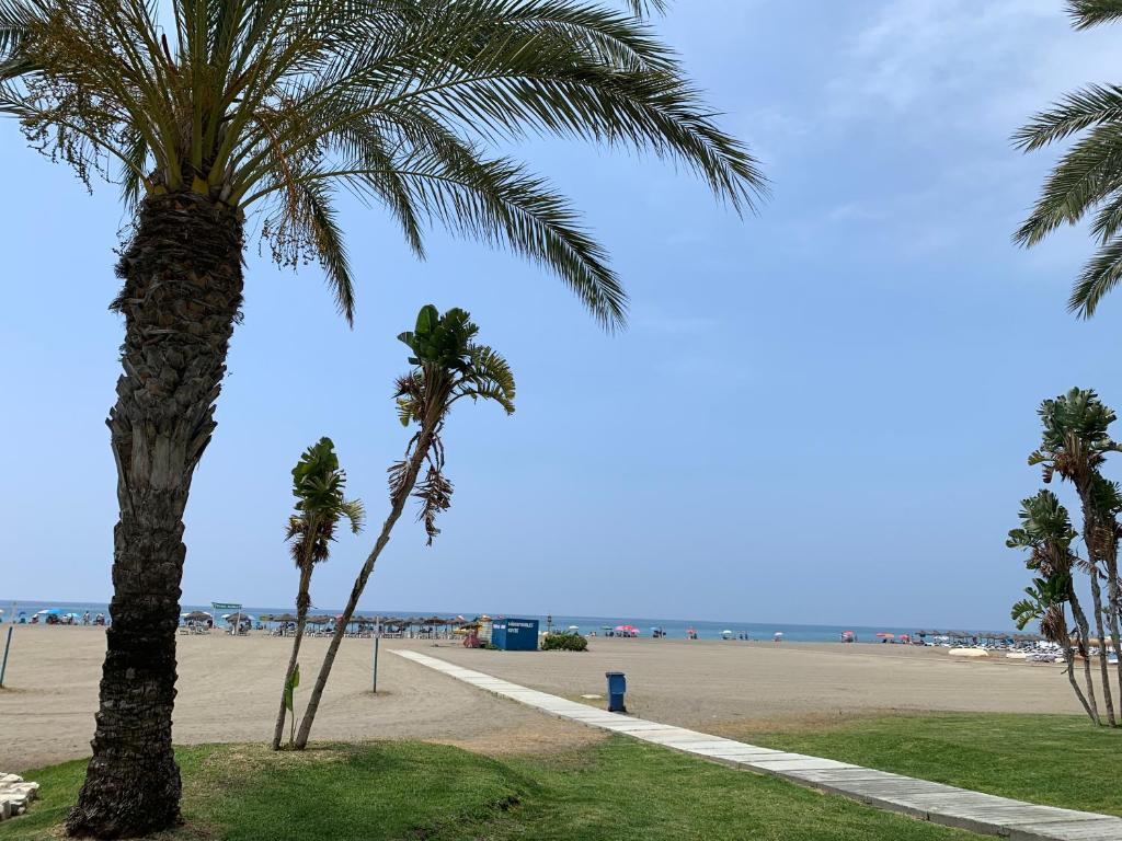 a palm tree next to a beach with a sidewalk at Turismo Vacacional de Lujo ttluga -Málaga in Cala del Moral