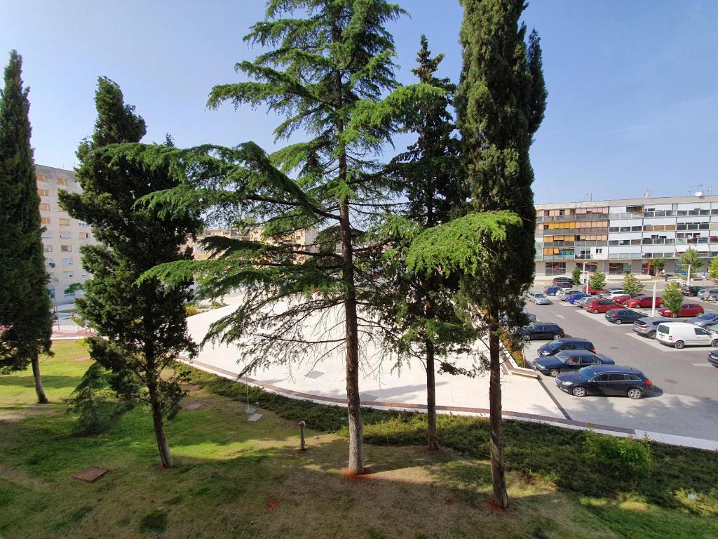 Fotografia z galérie ubytovania Apartman Val v destinácii Pula