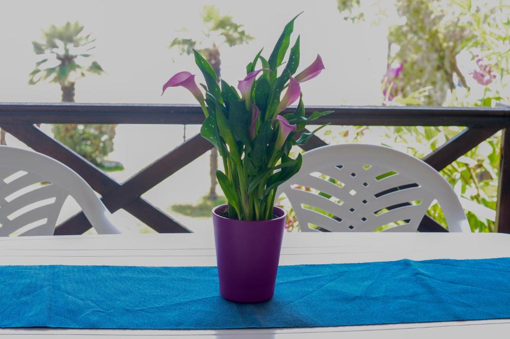 Balkón alebo terasa v ubytovaní Alexger Beach Front Deluxe house